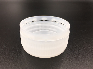 Closure+inner plug assembly 2